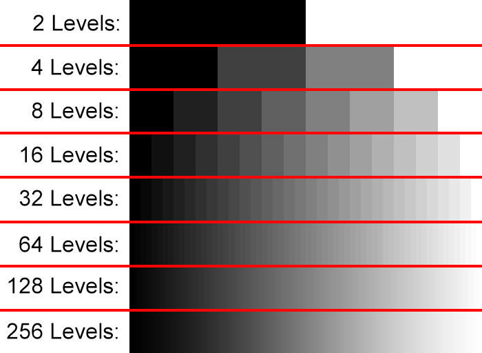 Web Detection Setup